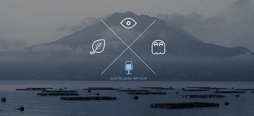 卓越迈创圈子 深圳网站建设,深圳网站设计 卓越迈创网站建设公司